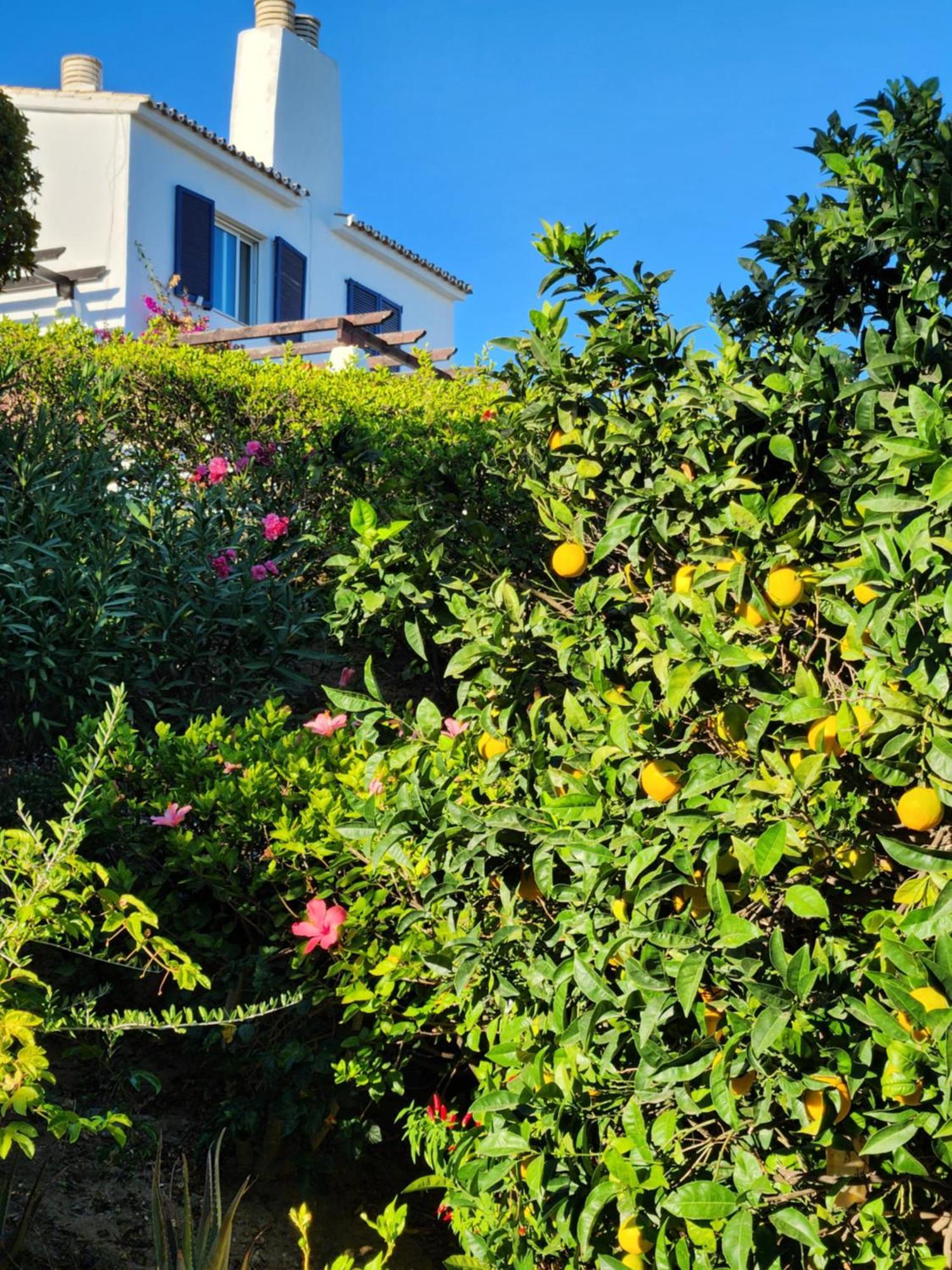 Elena Flat A Little Paradise Right On The Beach Sitio de Calahonda 외부 사진